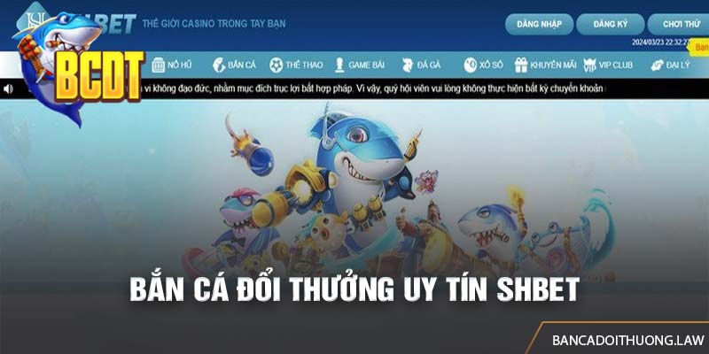 SHBet - Trang nhiều tựa game bắn cá với nhiều cấp độ khác nhau