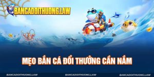 Mẹo Bắn Cá Đổi Thưởng - Kiến Thức Hay Cược Thủ Cần Nắm