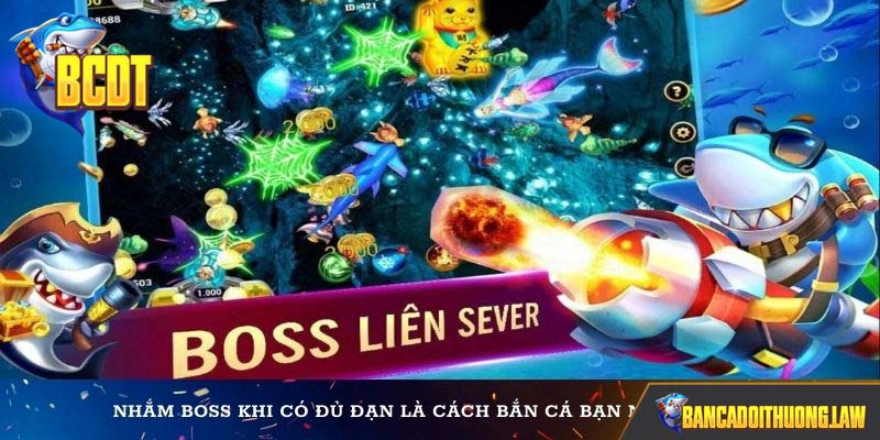 Nhắm boss khi có đủ đạn là cách bắn cá bạn nên áp dụng