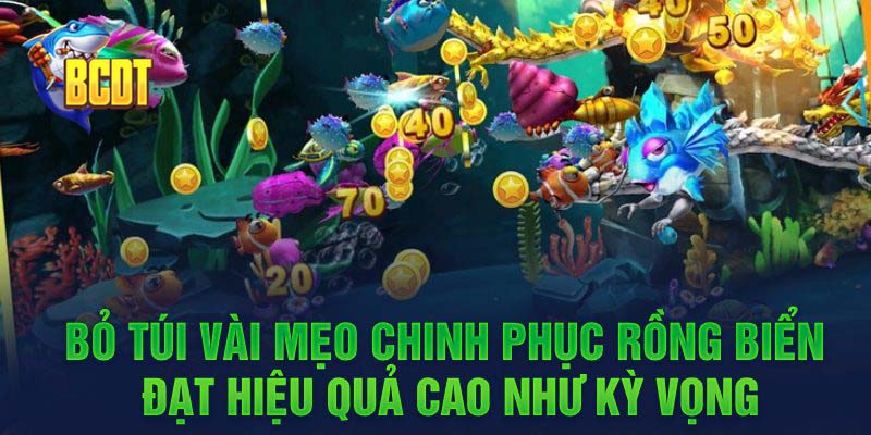 Bỏ túi vài mẹo chinh phục rồng biển đạt hiệu quả cao như kỳ vọng