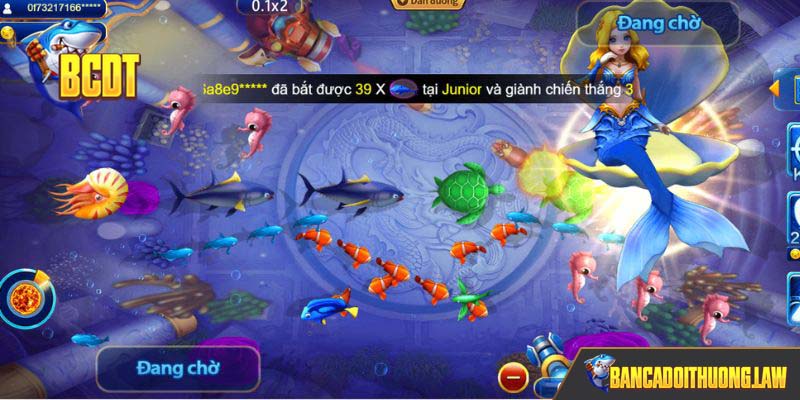 Luật chơi cơ bản dành cho newbie