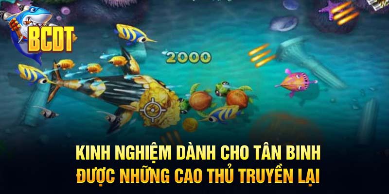 Kinh nghiệm dành cho tân binh được những cao thủ truyền lại