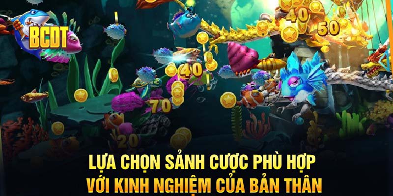 Lựa chọn sảnh cược phù hợp với kinh nghiệm của bản thân