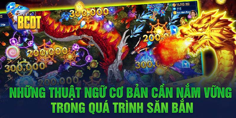 Những thuật ngữ cơ bản cần nắm vững trong quá trình săn bắn
