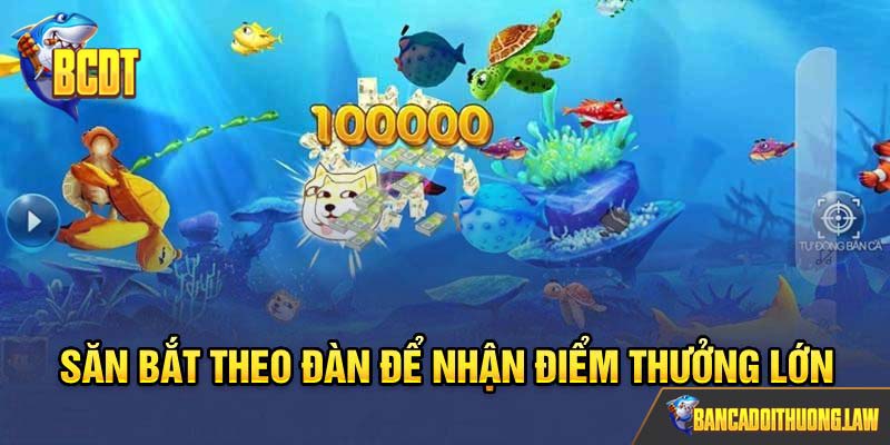 Săn bắt theo đàn để nhận điểm thưởng lớn
