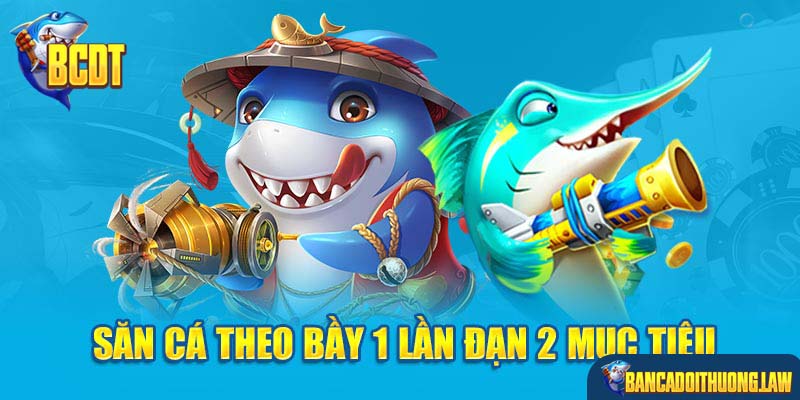 Săn cá theo bầy 1 lần đạn 2 mục tiêu 