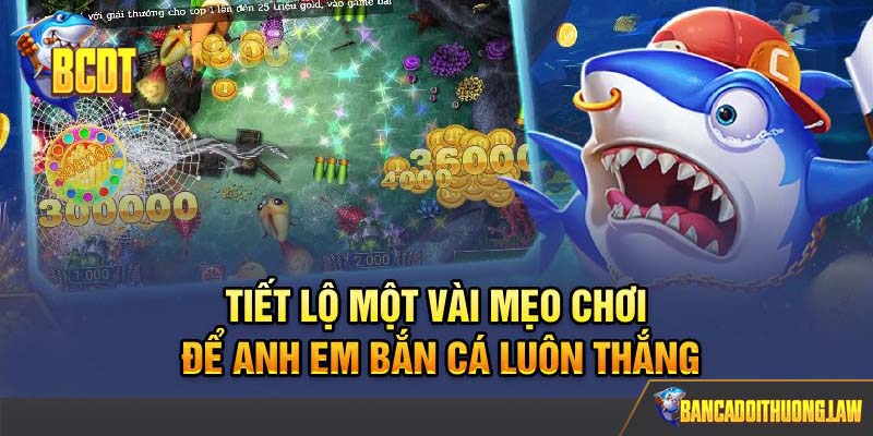Tiết lộ một vài mẹo chơi để anh em bắn cá luôn thắng