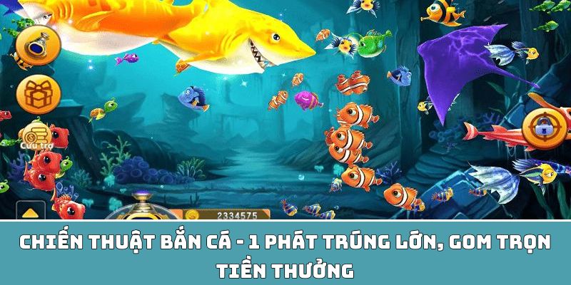 Chiến thuật bắn cá